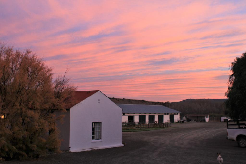 Ganora Guest Farm, Camping And Excursions Nieu-Bethesda Екстериор снимка